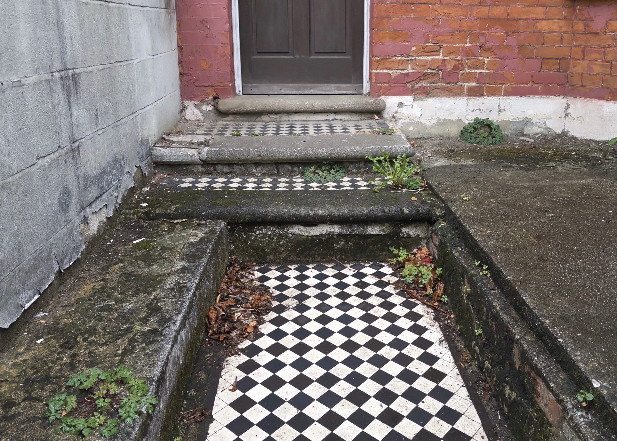 Three Steps (Brtish Front Gardens series)
