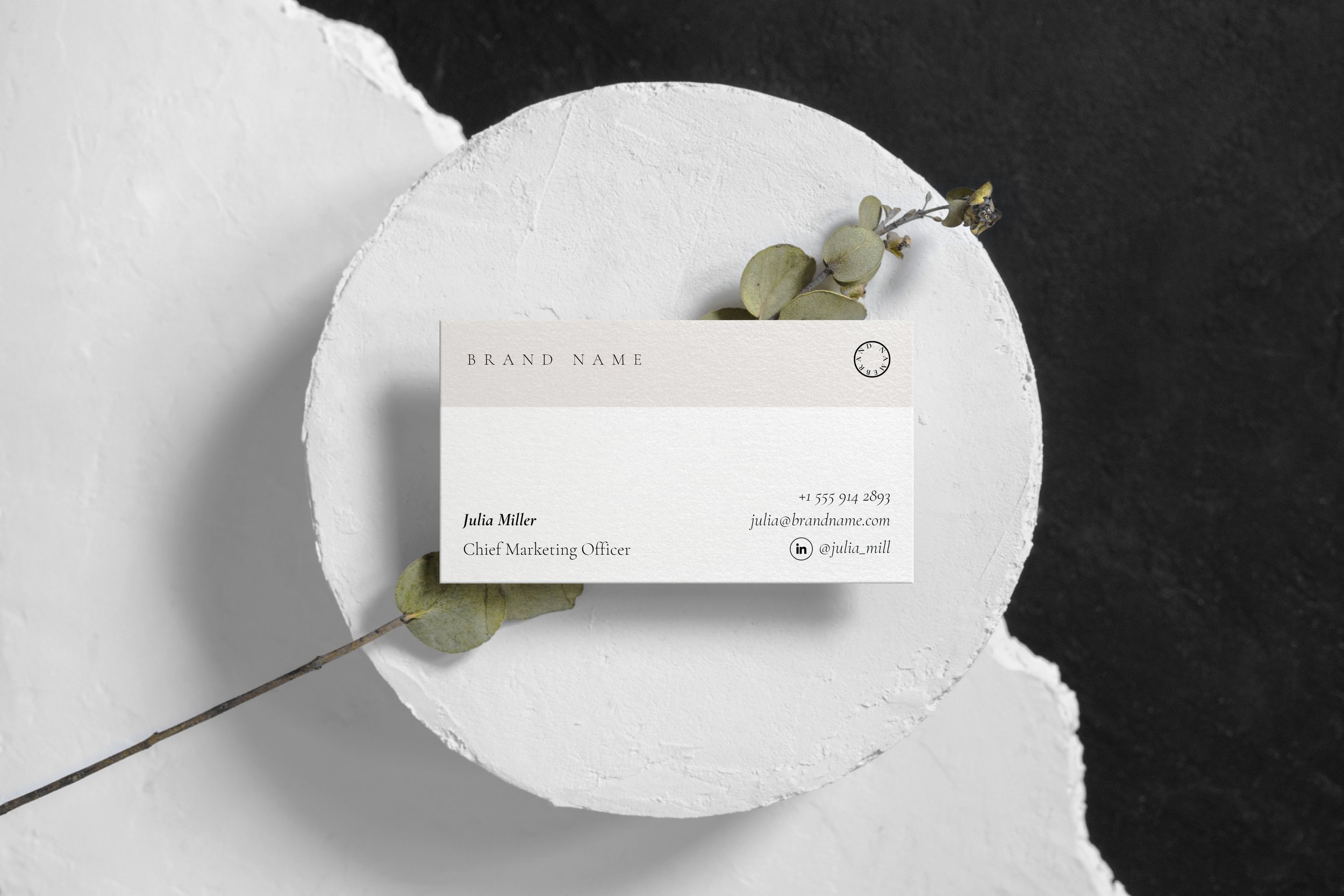 Business_Card_Mockup copy.jpg