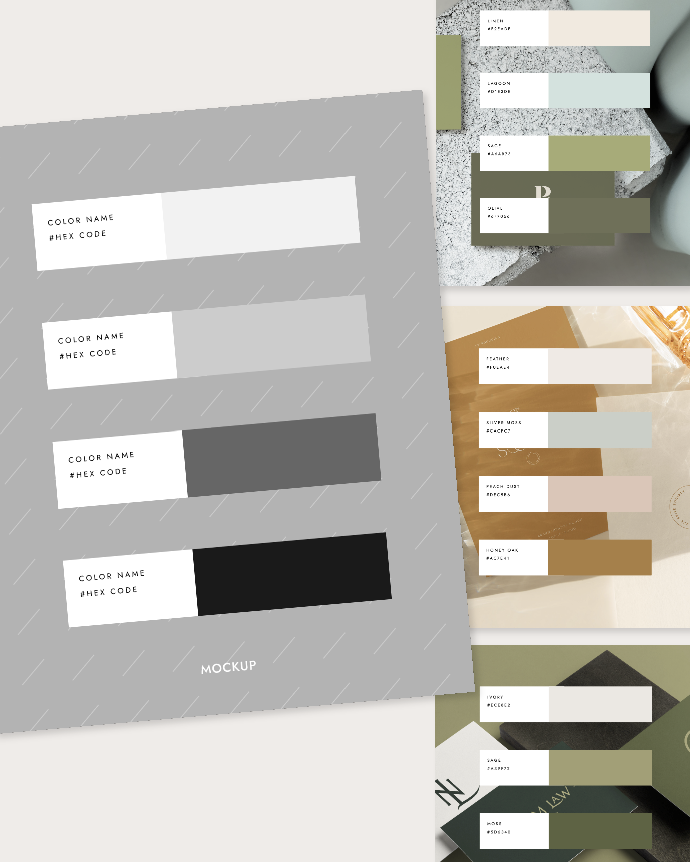 The Color Snapshot Template