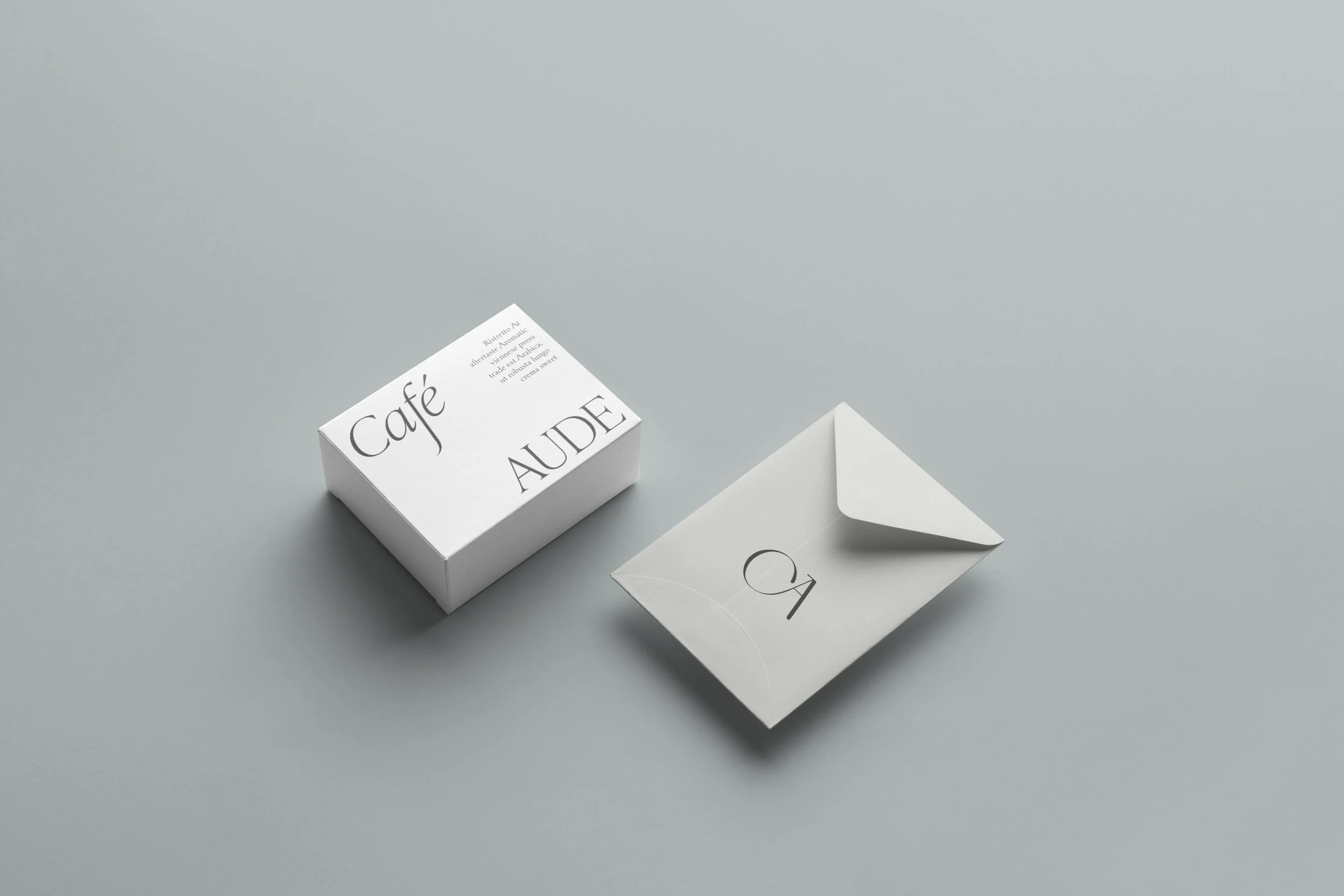 21-mnml-branding-mockup copy.jpg