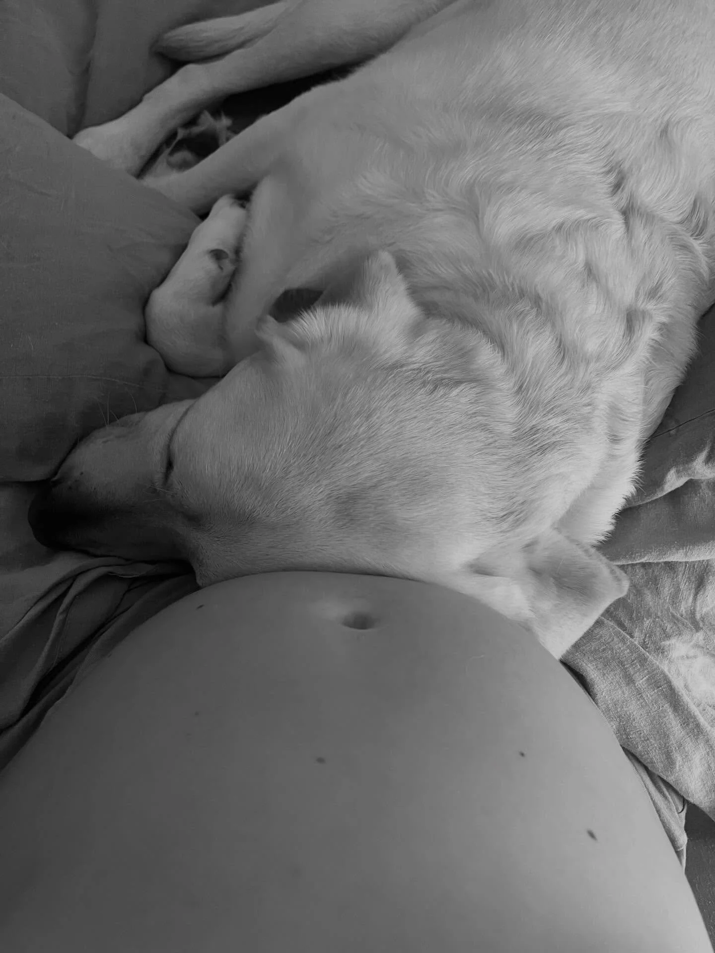 🤰My dream and manifestation of becoming a mum is coming to fruition and I couldn&rsquo;t feel more grateful and content ❤️ We&rsquo;re beyond excited to welcome this magical soul into the world! I already feel so connected to them and thankful they 