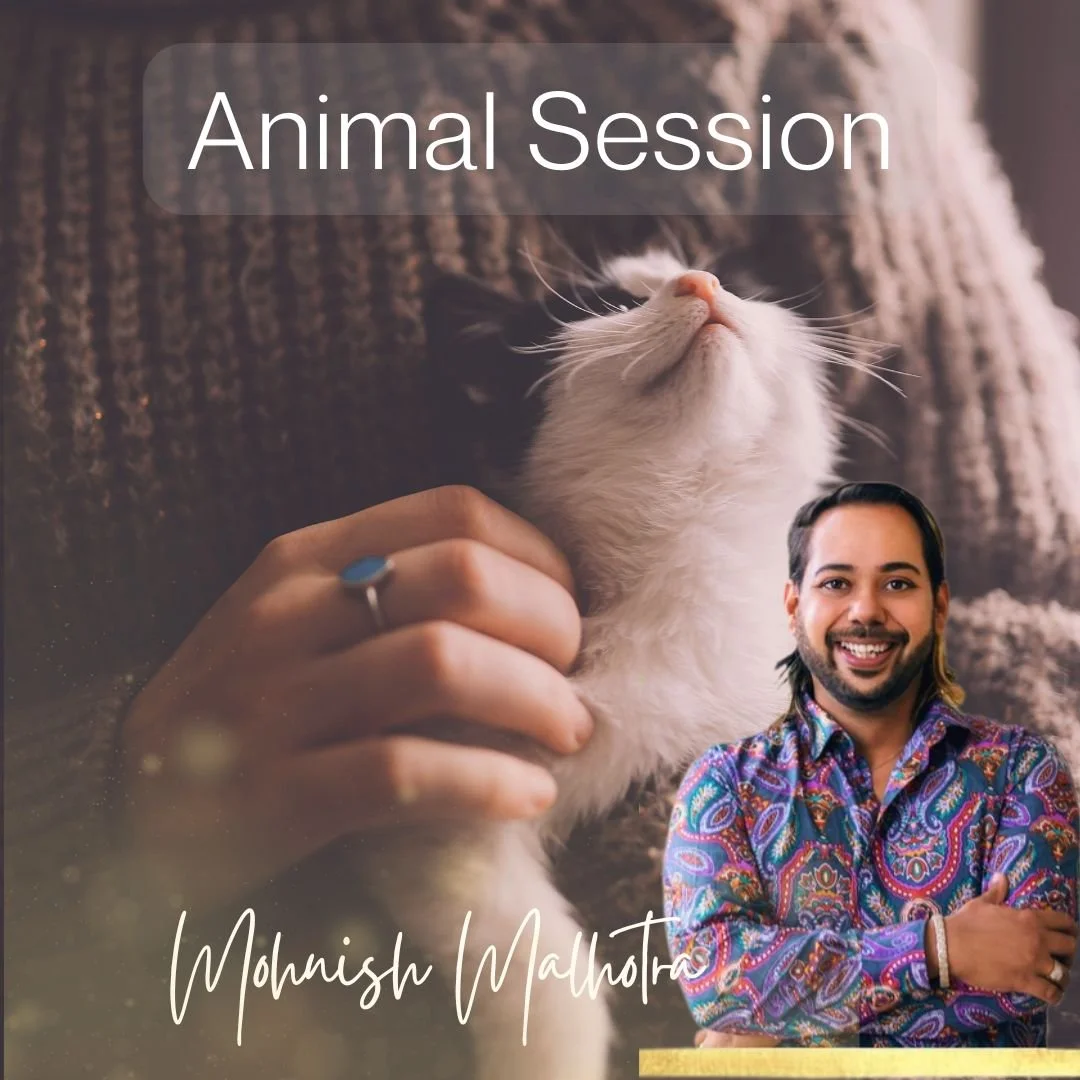 Animal Whispering | 30 Minute Sessions (in person and online)