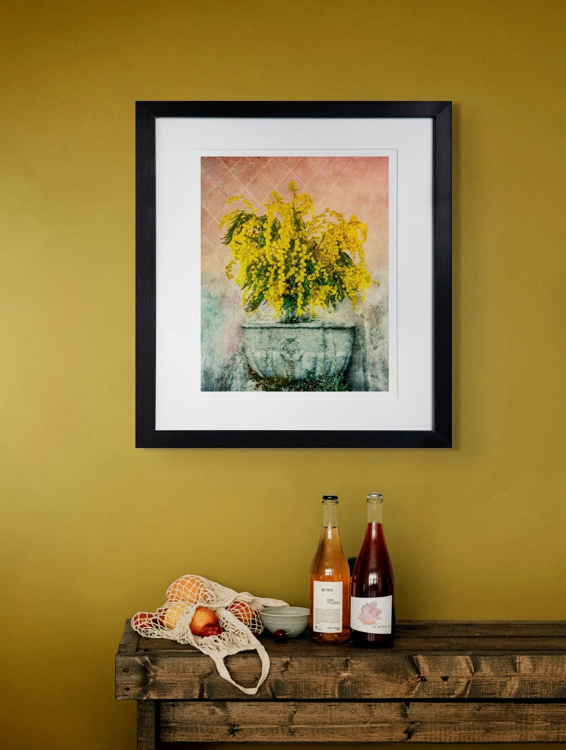 mimosa-medium-2b.jpg