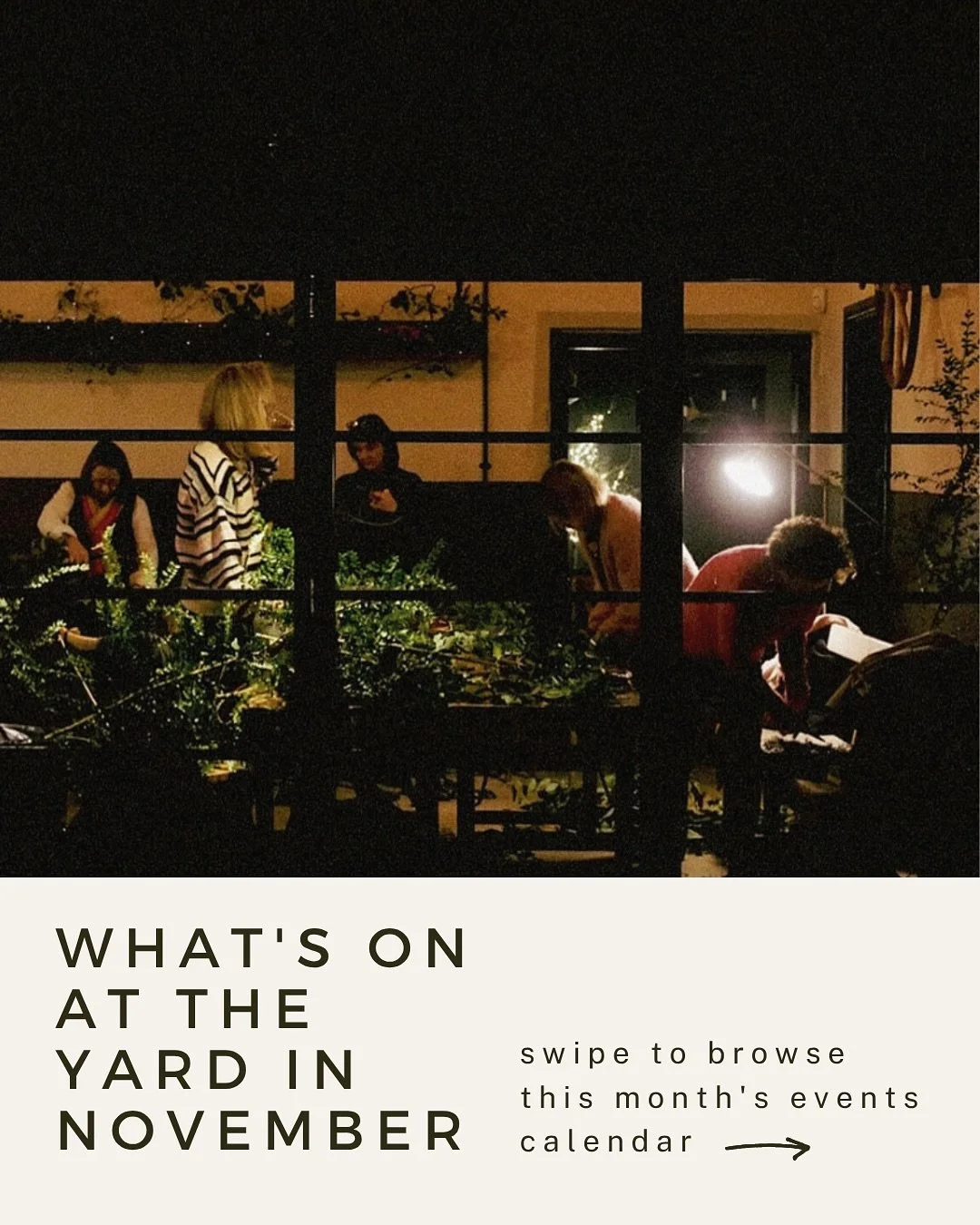 What&rsquo;s on in November 🪴 -&gt;