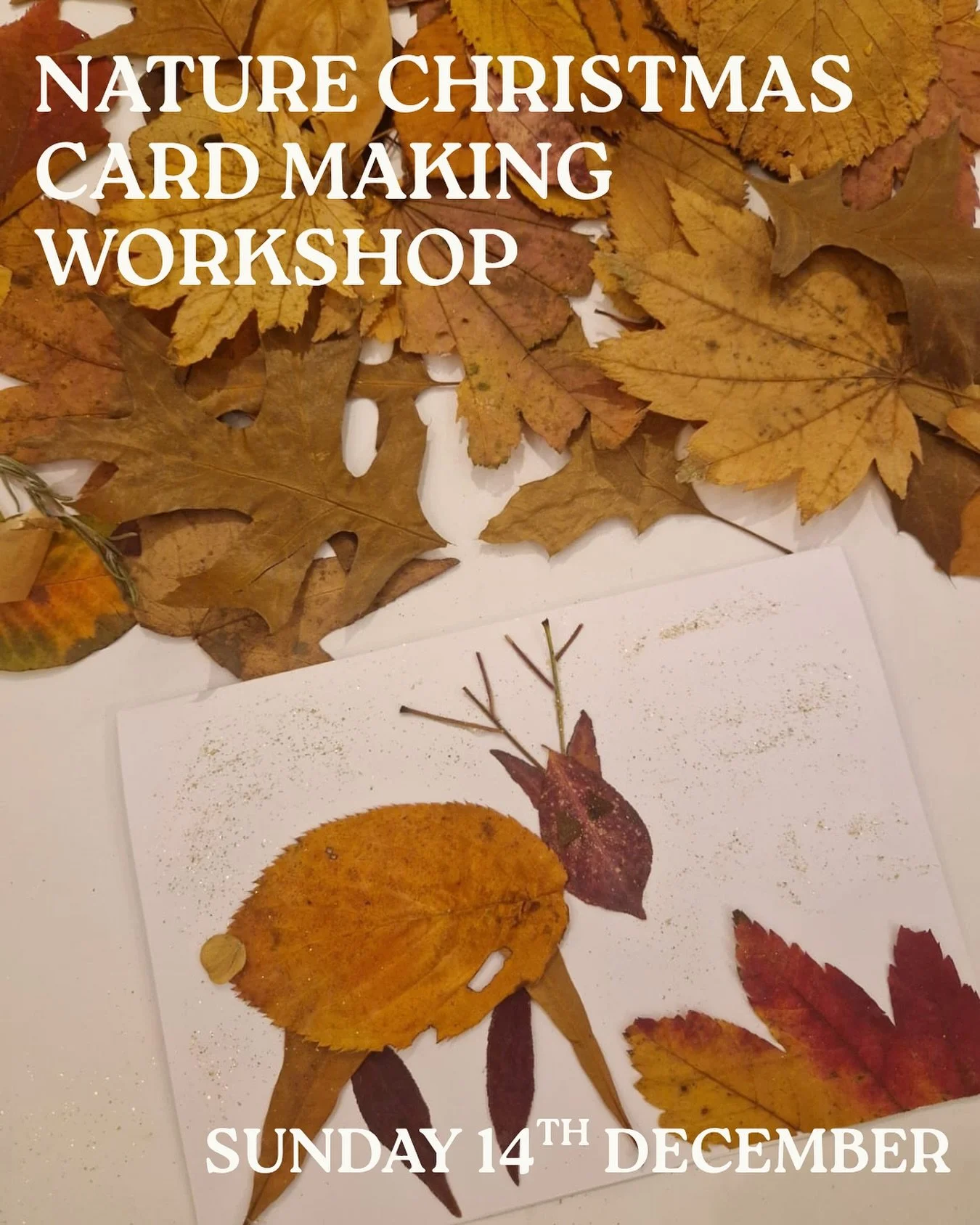 Get creative with nature with @makerparties in this hands-on drop-in workshop for all ages, you&rsquo;ll dissect flowers + plants, experiment with dried leaves + explore the intricate structures + patterns found in nature 🌱💫

Then, use your discove