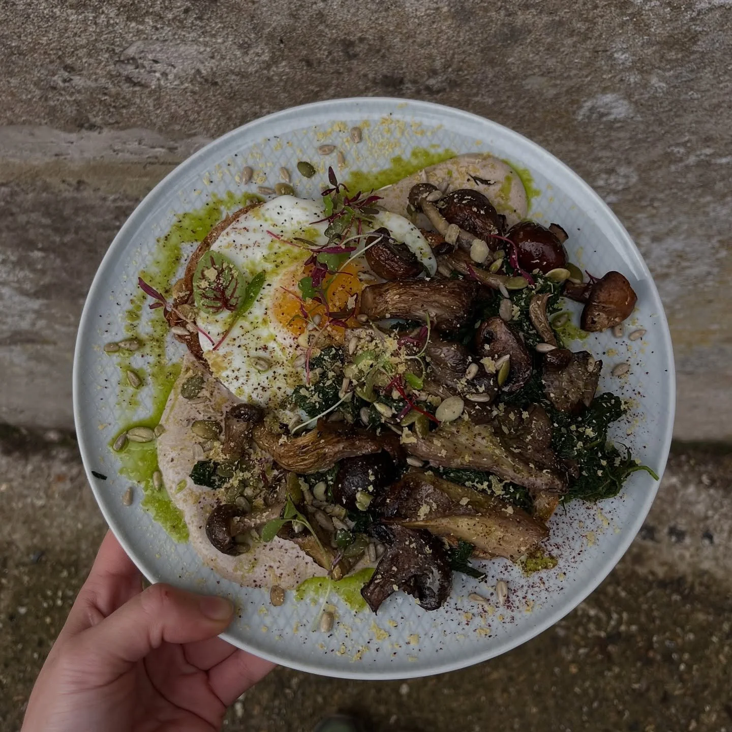 Mushrooms on Sourdough toast, a lovely autumn brunch plate 🍄&zwj;🟫

Mixed mushrooms + spinach, with black garlic yoghurt + herbs, topped with nutritional yeast + a fried egg, all served on toasted sourdough 🪴

Open Weds - Sun, 9am - 4pm (our kitch