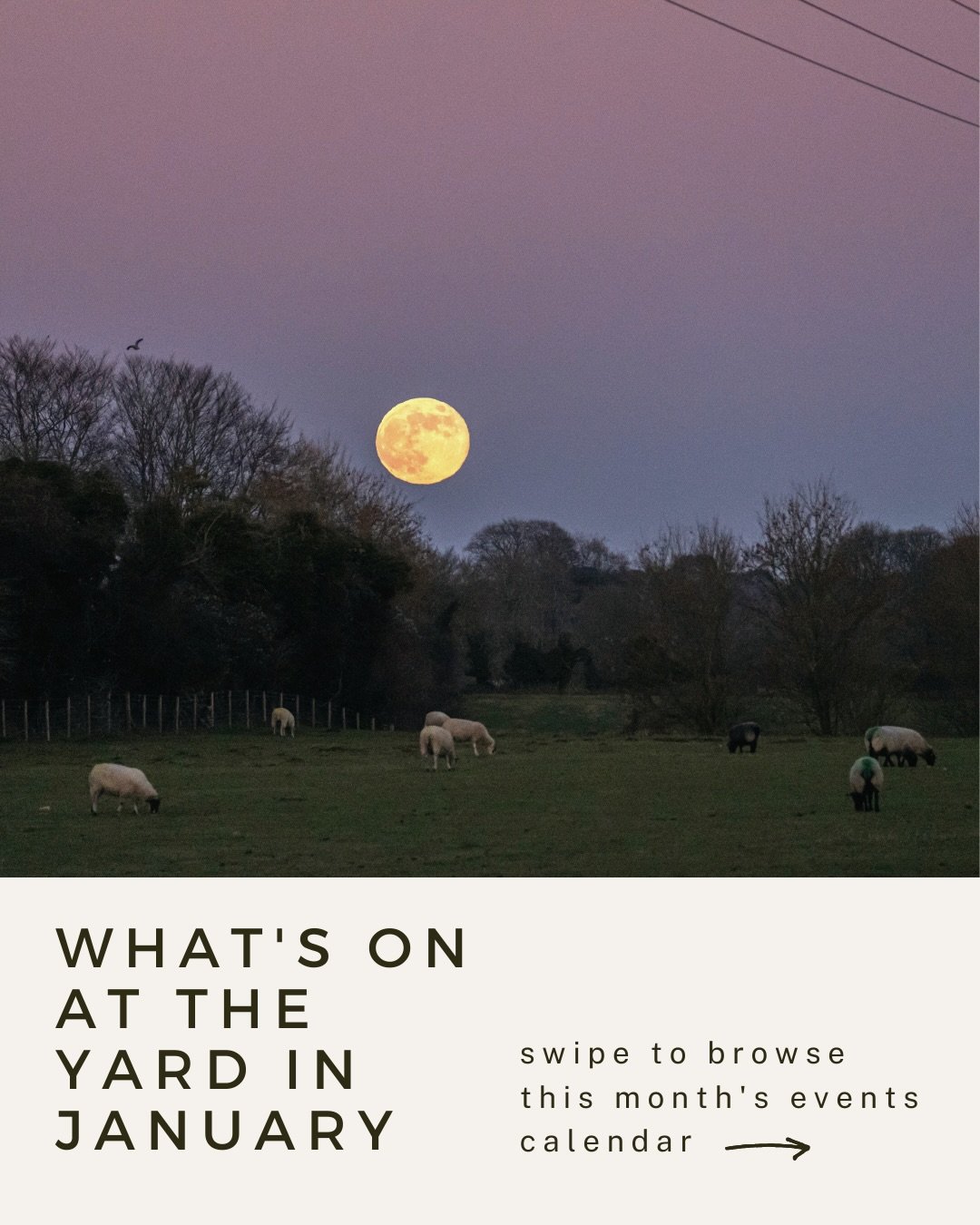 What&rsquo;s on in Jan 🌨️

Cafe open, Weds - Sun, 9am - 4pm ☕️