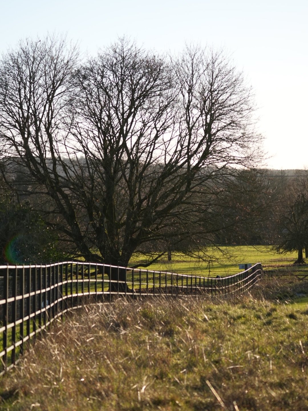 The sun is officially shining + the days are getting a bit brighter ⛅️

Grab a coffee to go + enjoy a countryside walk around The Yard, more info about routes on our website 🌾