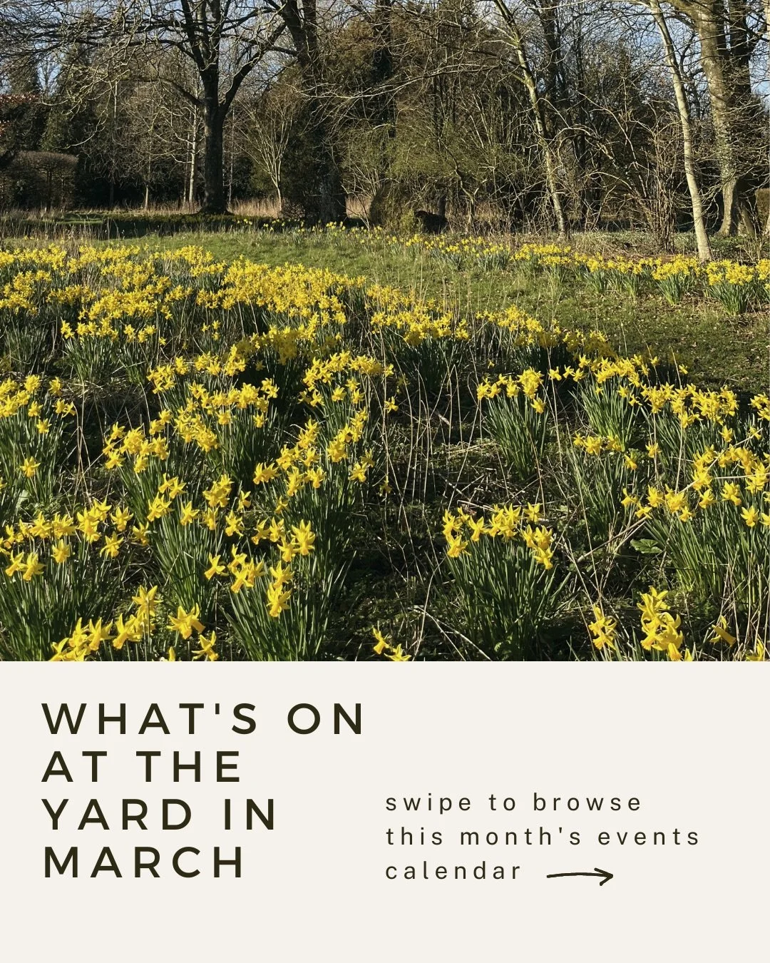 What&rsquo;s on in March 🌷