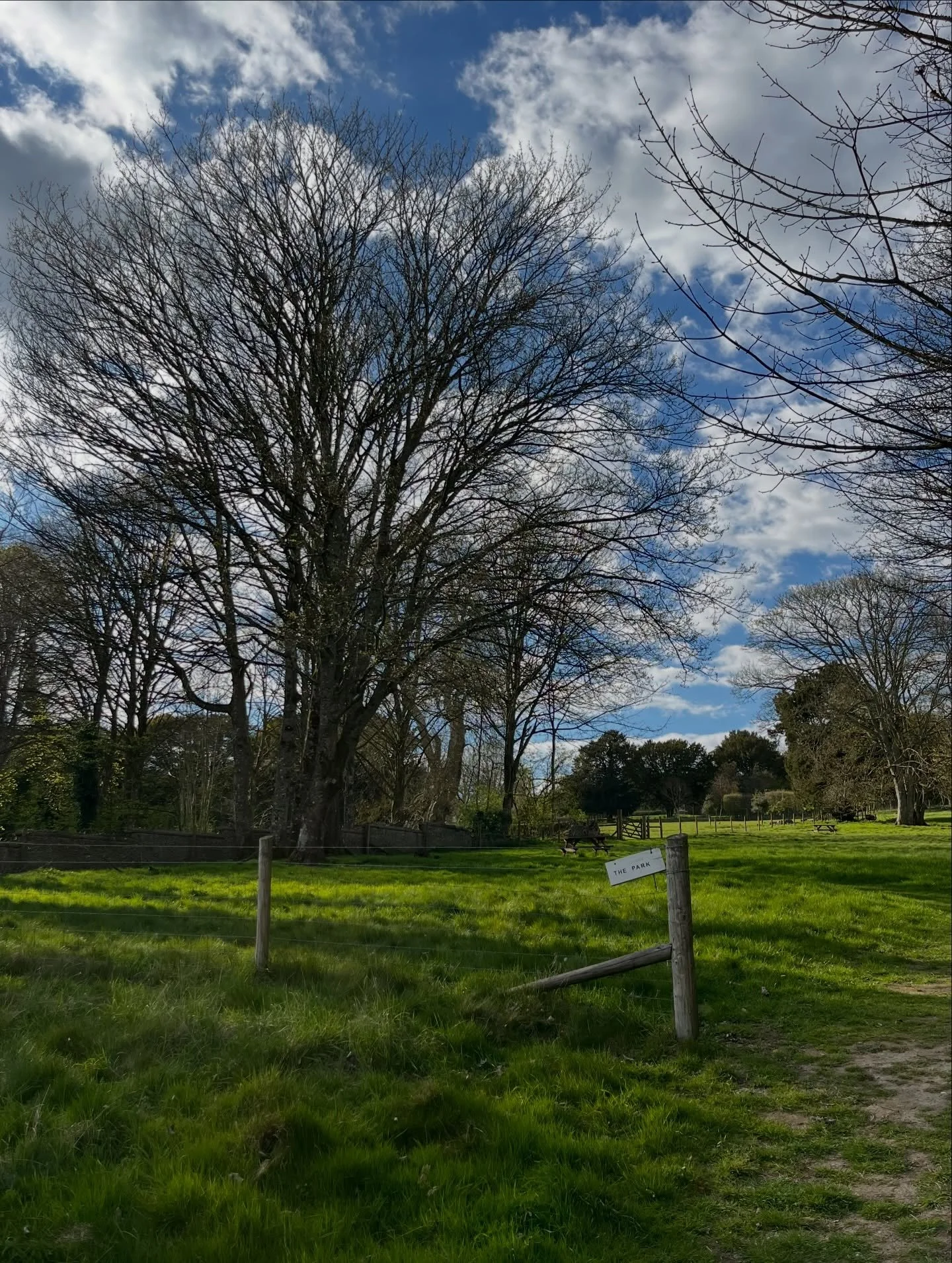 EASTER TRAIL ☀️🌷🌱🐣

Pop in over the Easter hols, grab a sheet from the till + explore the Yard searching for + solving riddles! Answer each one + your little ones win a sweet treat. 

Afterwards refuel with a babyccino or hot choc, whilst decorati