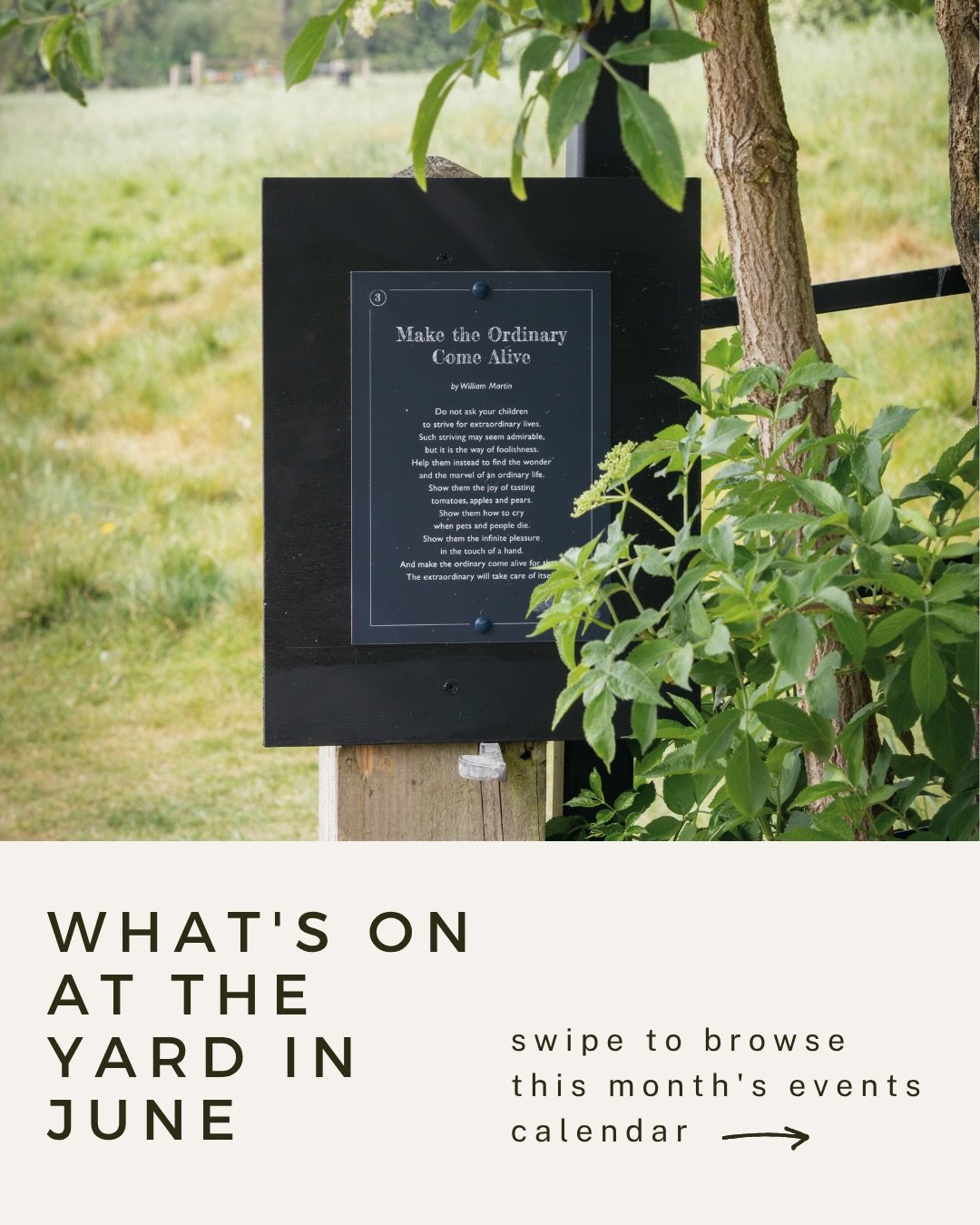 What&rsquo;s on at The Yard in June 🍉 ->