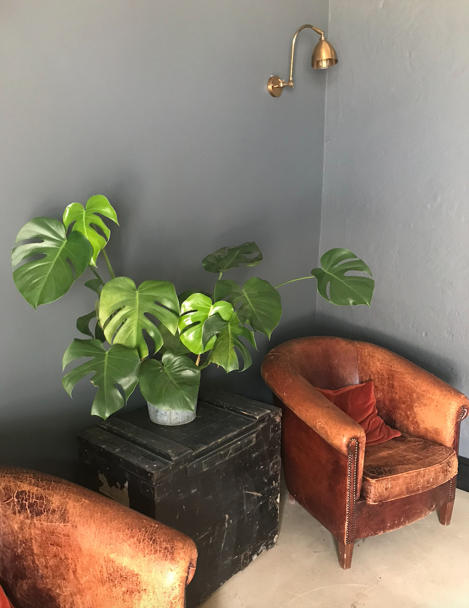 Screenshot 2022-05-23 at 17.30.38.png