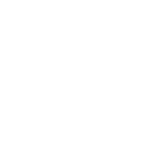 Wild Light Photography