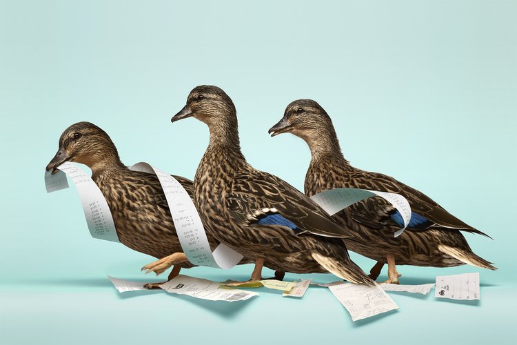 Getting Your Ducks in a Row for Tax Season for Money Magazine, photo by Bill Diodato.