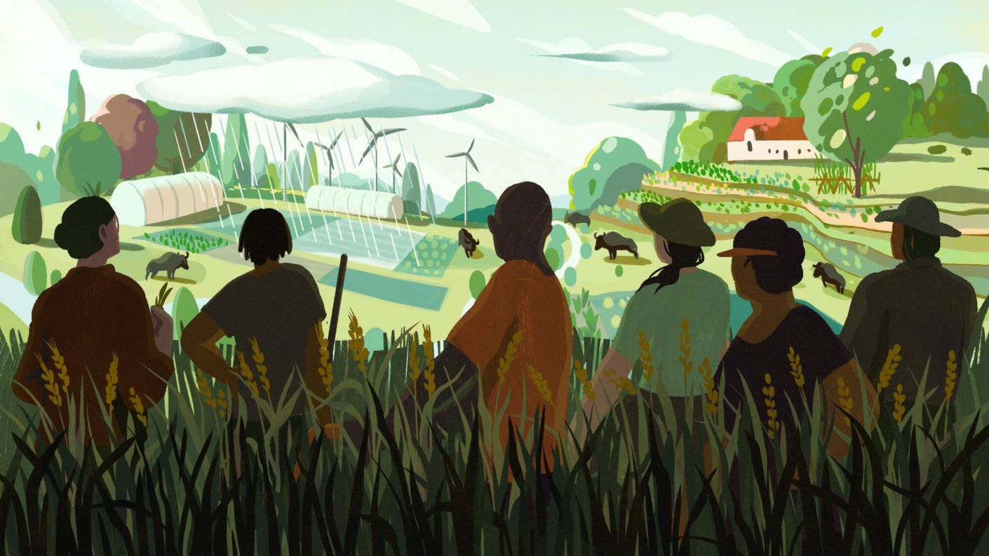 Regenerative Agriculture Needs to Include Conversations Around Race, Equity and Access, illustration by Cornelia Li