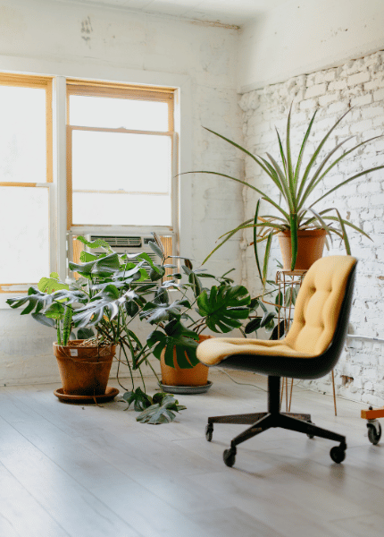 A rolling chair in a brightly lit room with large plants in the background.