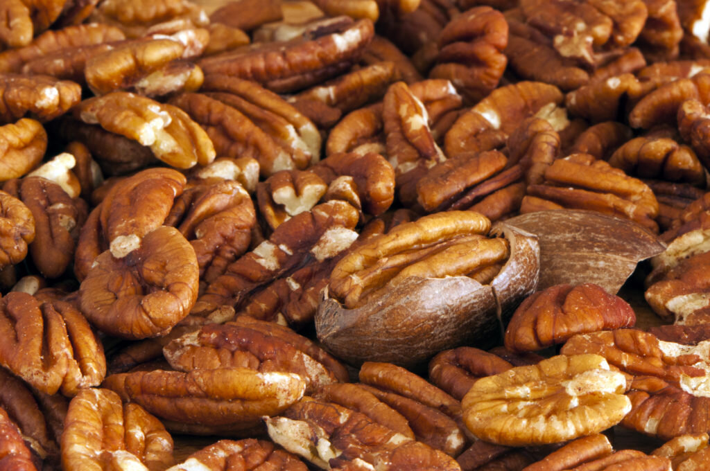 Don't these Alabama Peconderosa Orchard Pecans look mighty tasty. (Copy)