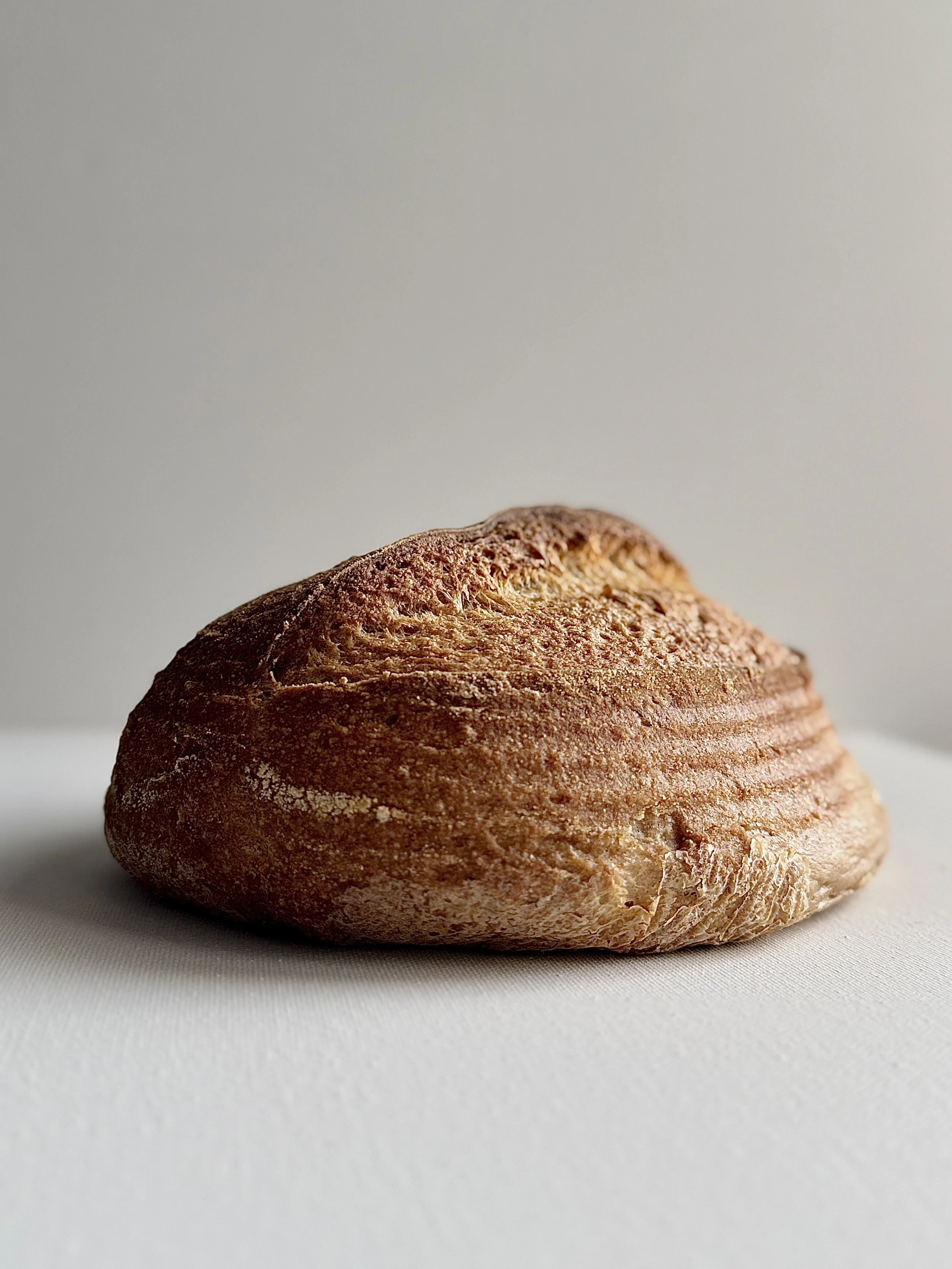 Gluten Free Sourdough Boule