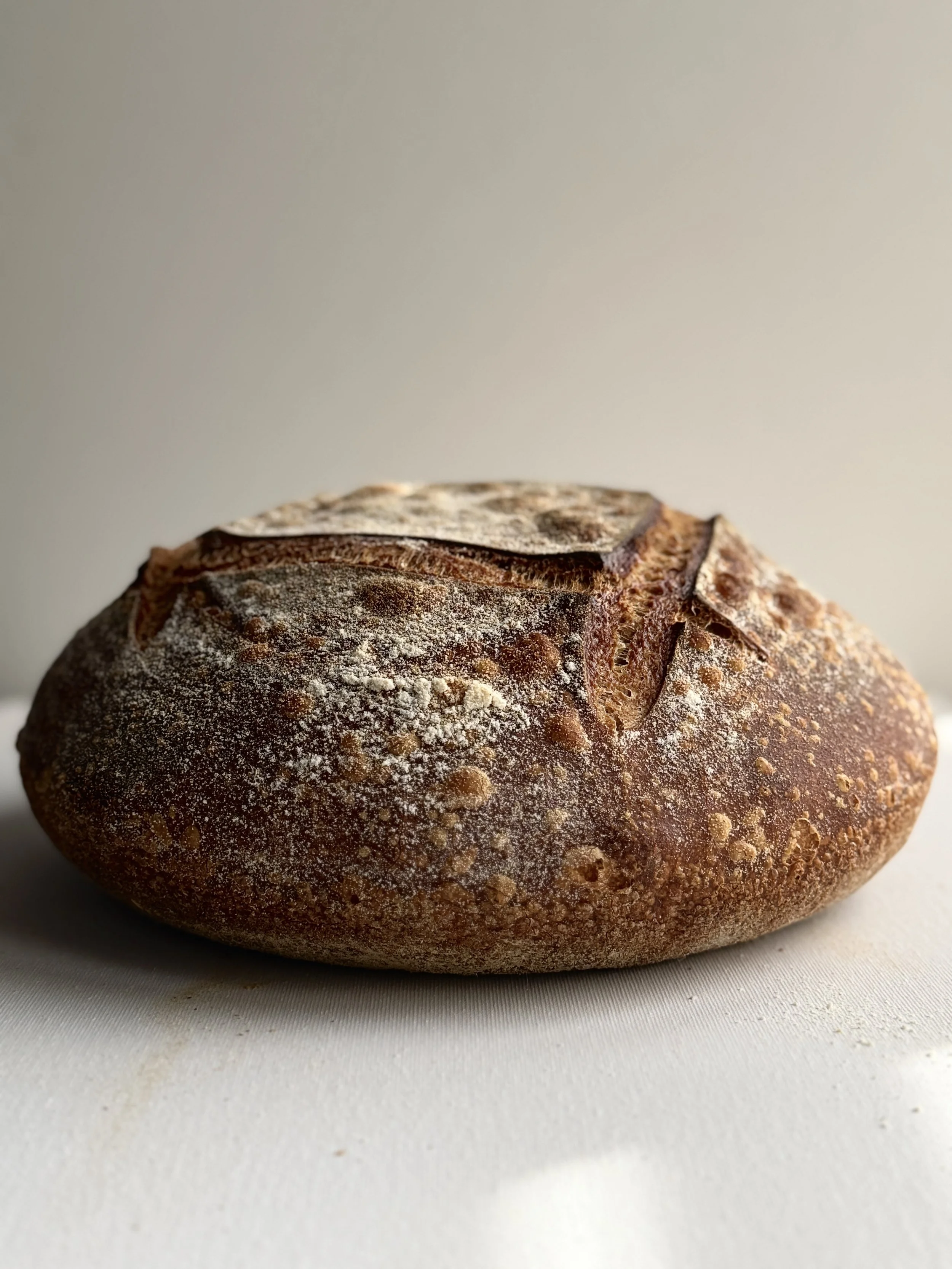 Sourdough Boule 