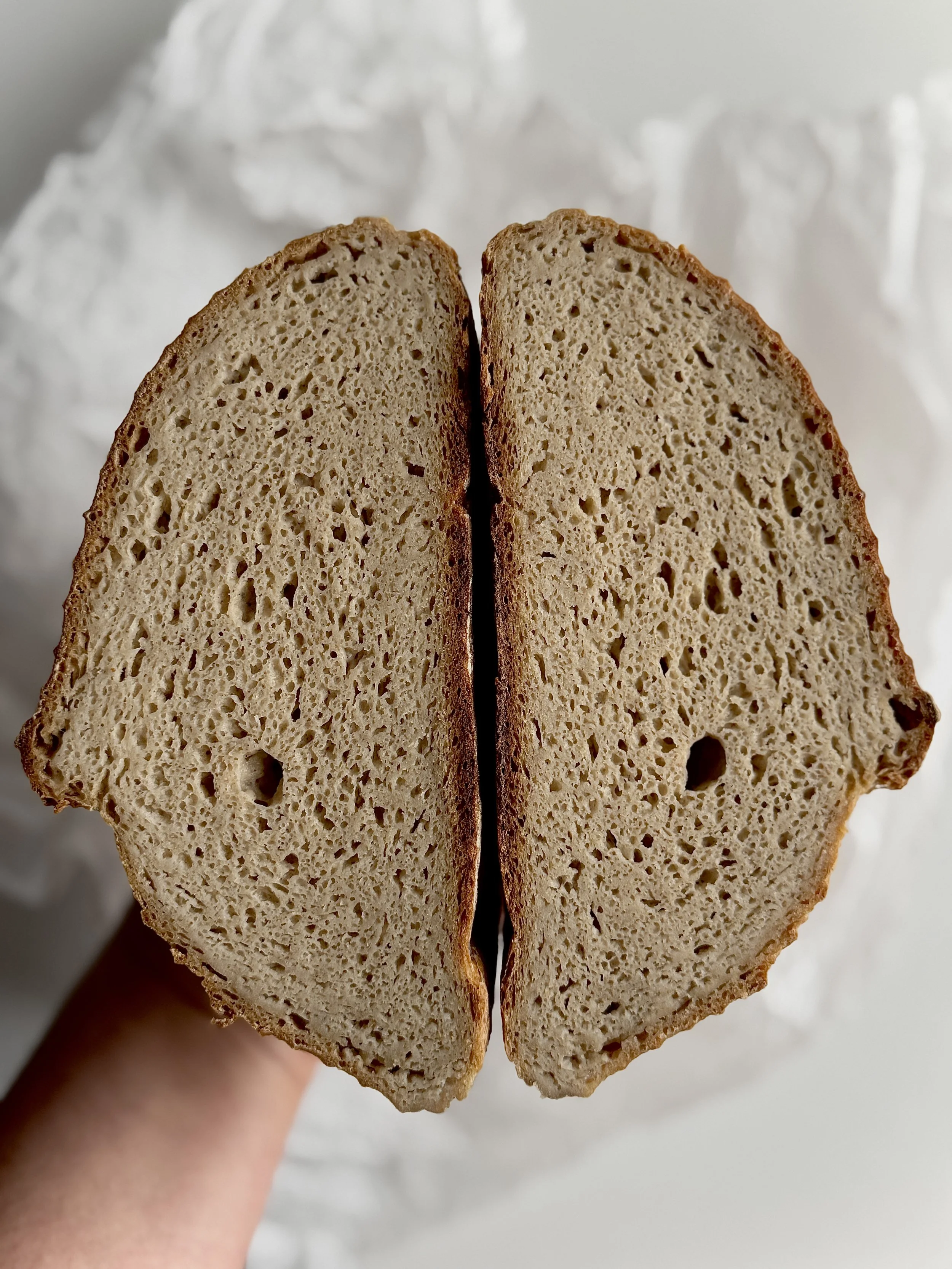 Gluten Free Sourdough Cross Section Crumb