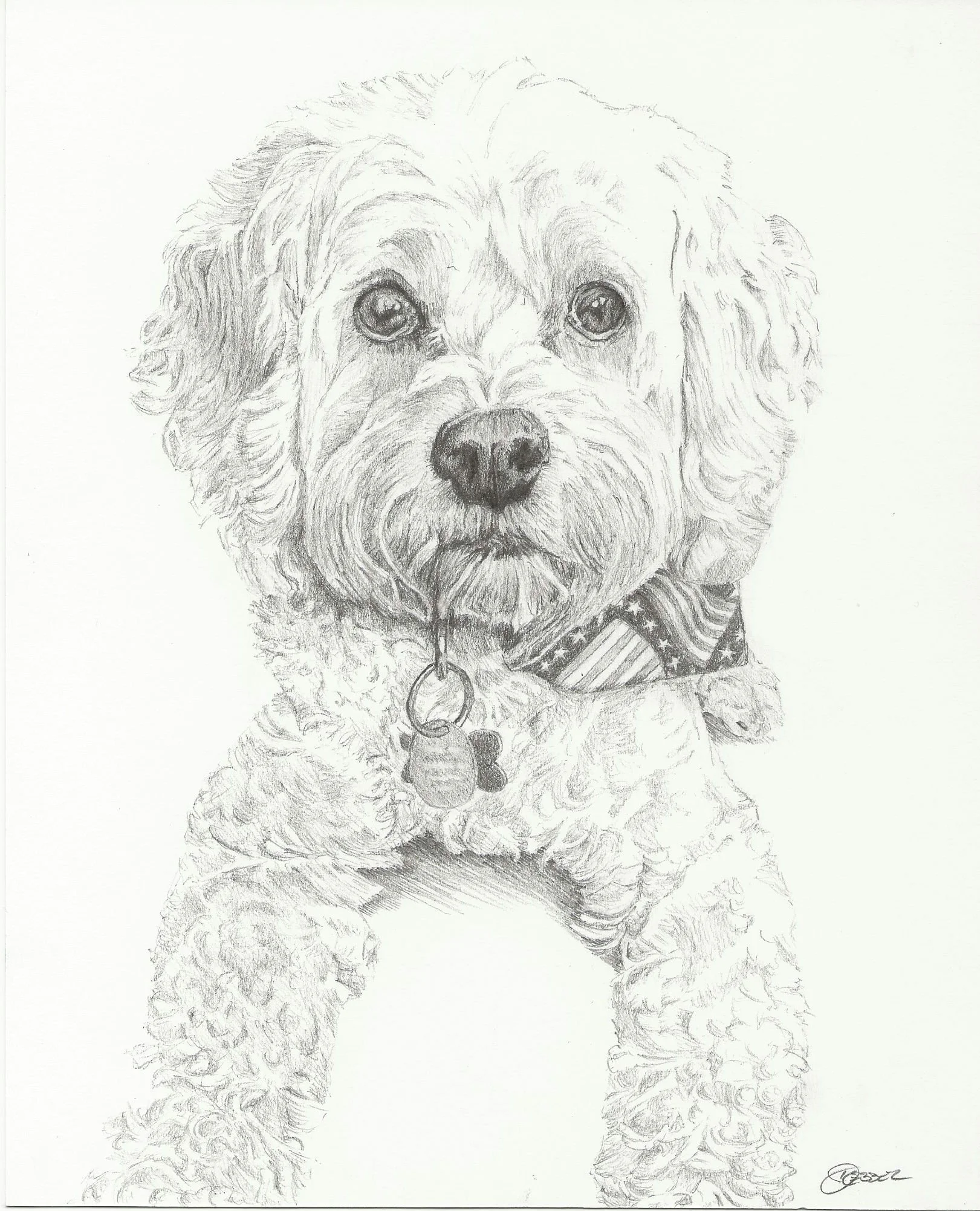 Albie - Kate Bayard.jpg