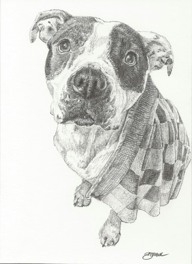 Nala - Rob Swanson.jpg