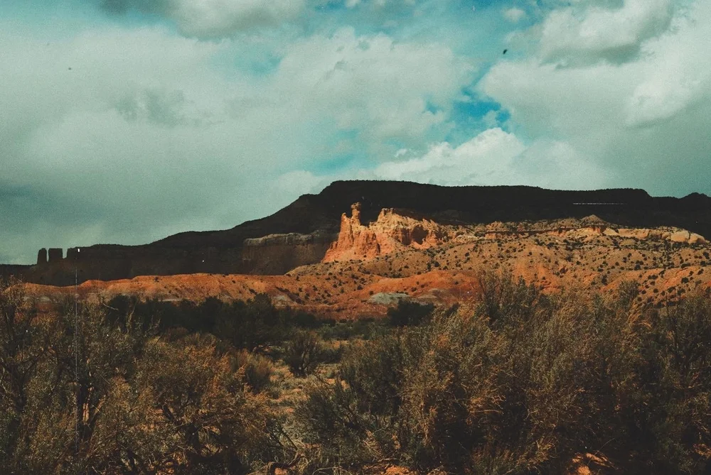 1D84BEA6-09DC-4103-8CEB-06FB92DF456E 3.JPG