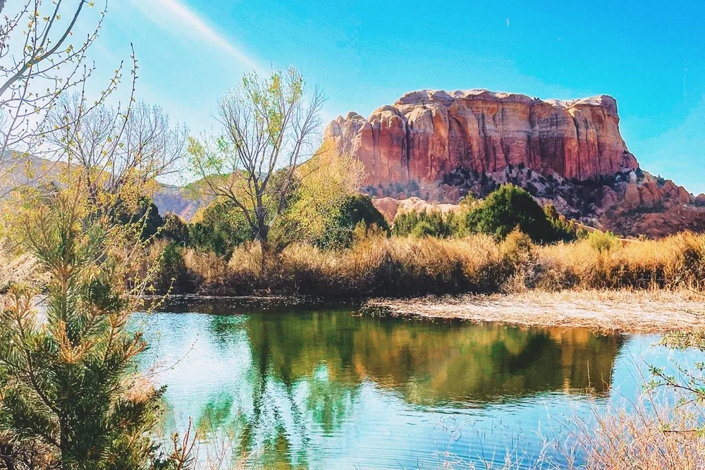 50FD5E95-0F40-406A-B14F-C4CF81A41CA1 3.JPG