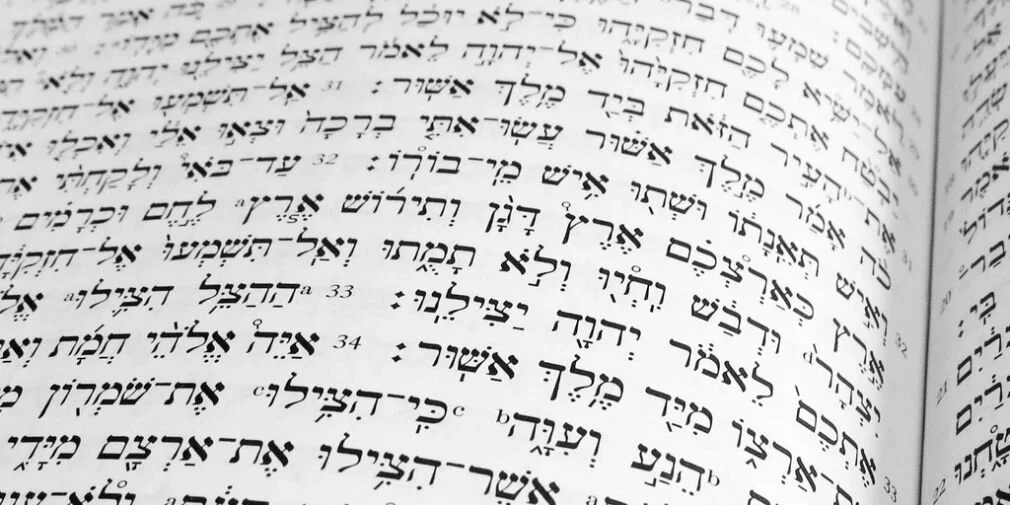 New lecturer in Hebrew and OT