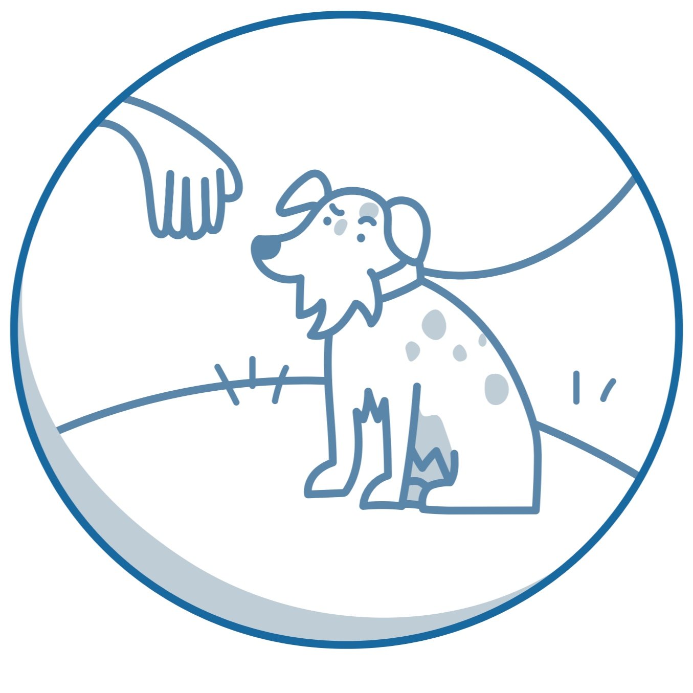 dog-trainers-anxiety-specialists-effective-science-based-dog-training