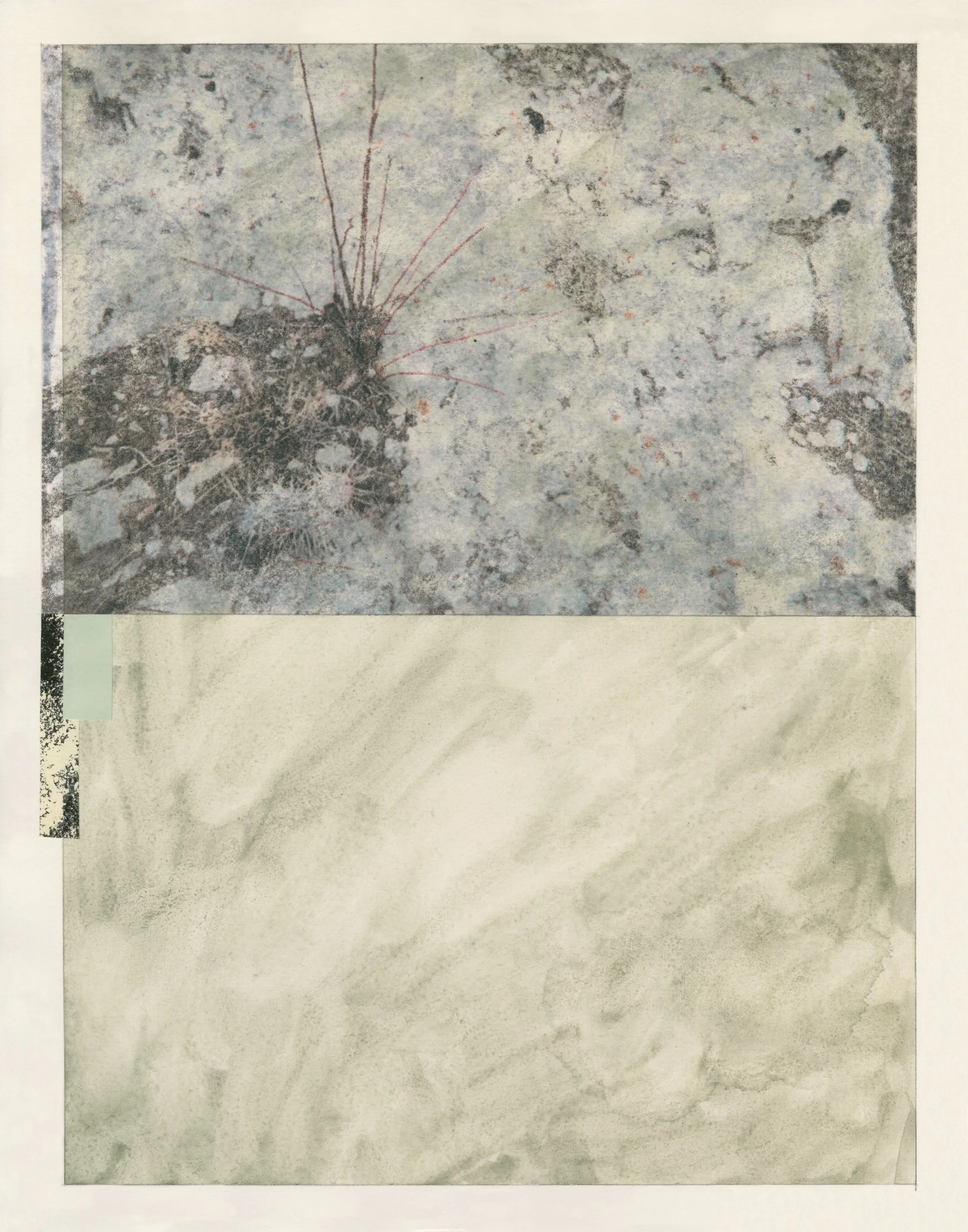 (NE)arsighted, graphite, watercolor, risograph print, paper, and image transfer on paper, 14 x 11 in, 2026