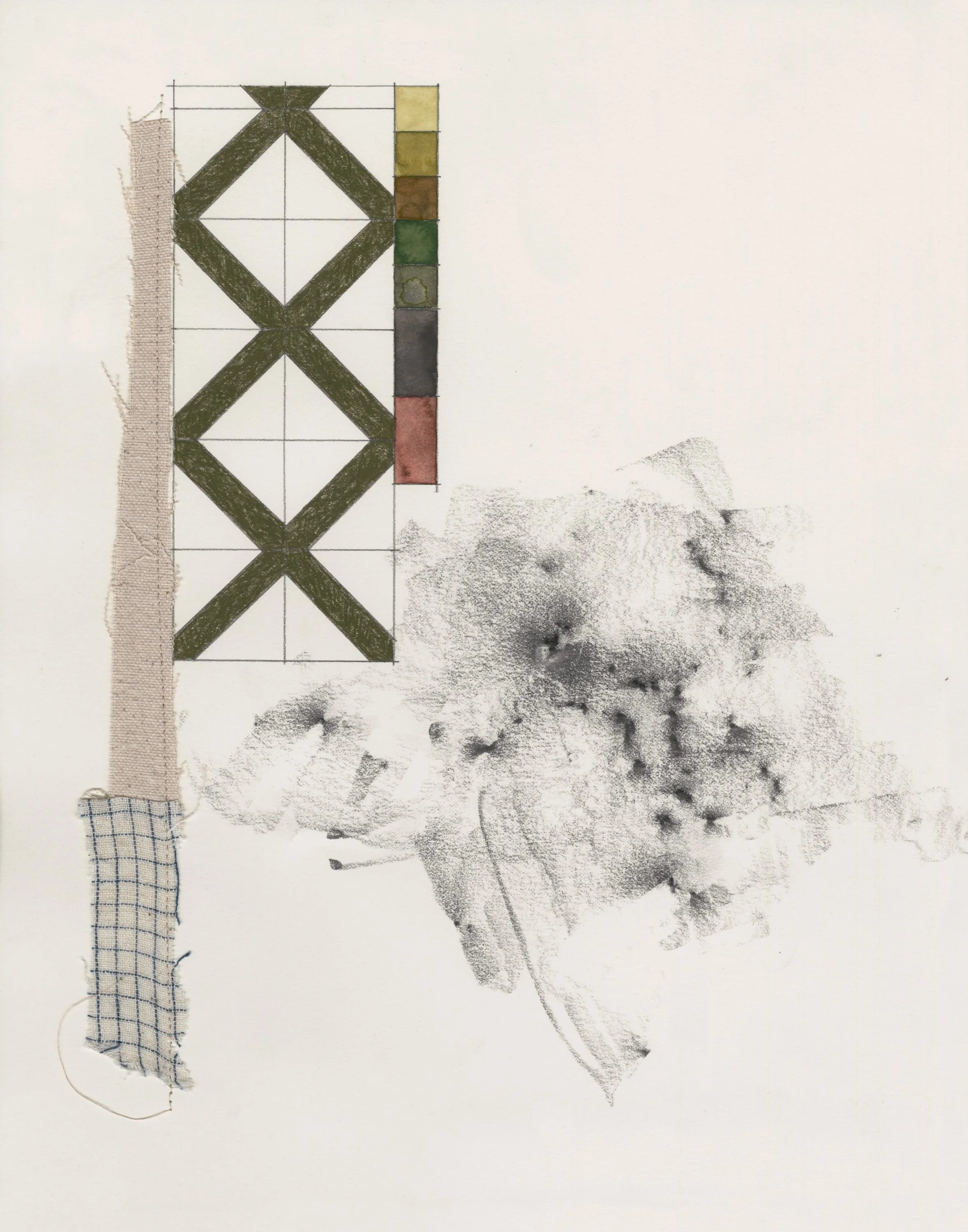 44.17944º N, 71.70103º W (yellow birch tree bark), graphite, colored pencil, cotton, thread, and watercolor on paper, 14 x 11 in, 2026