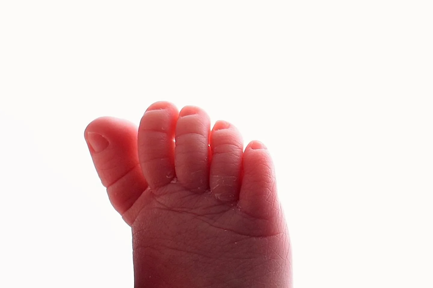 Timeless and simple detail shots are completely underrated in my opinion🤍