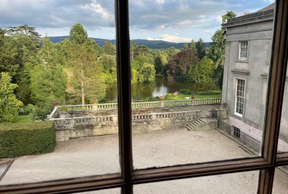 view from the window