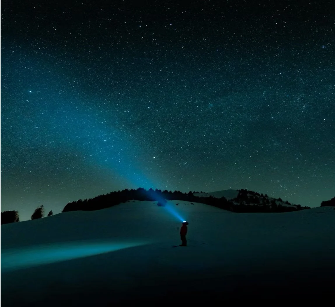 Questions for Jesus: What Happens When Jesus Speaks into Our Deepest Desires?