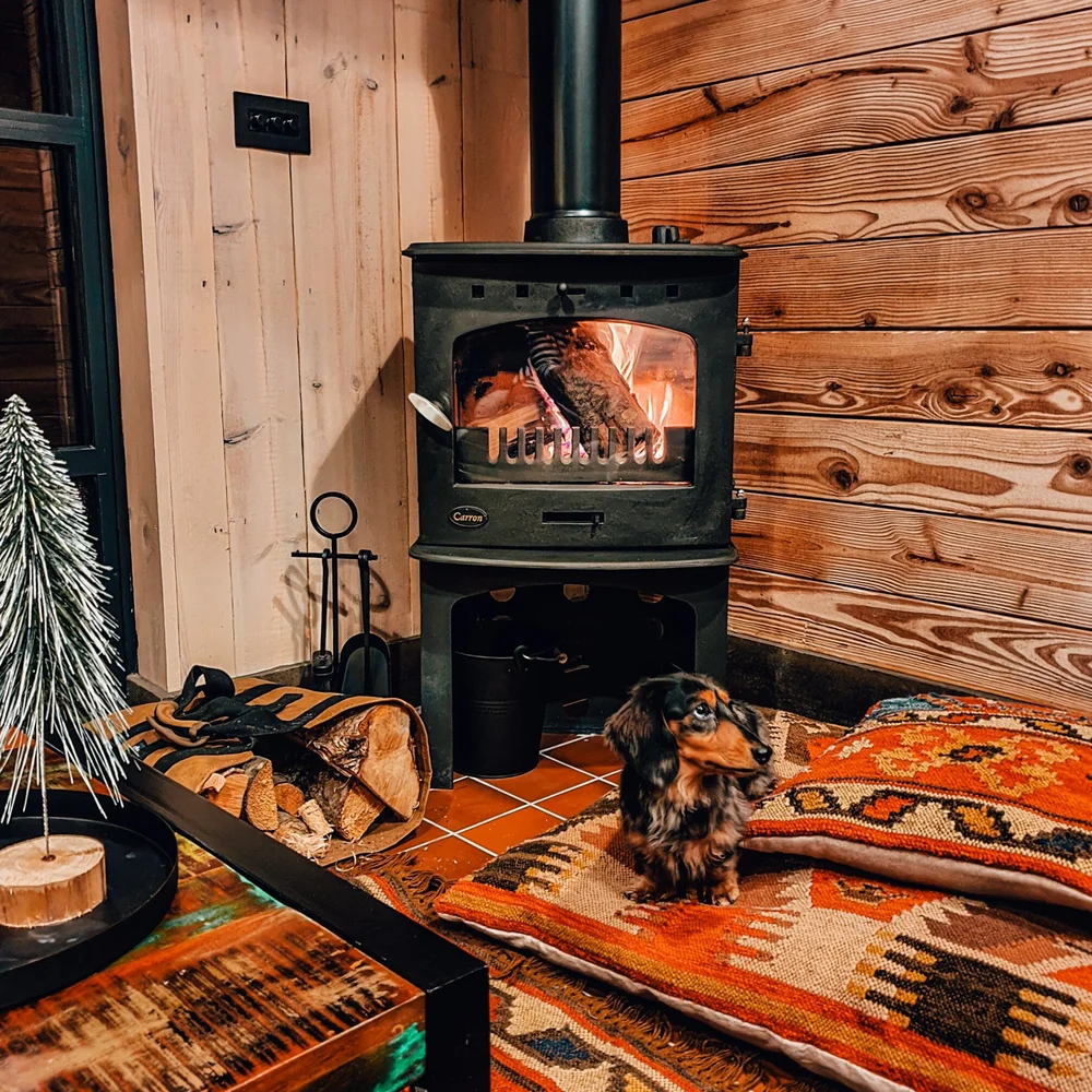 cabu by the lakes cabin bedroom cathy&Juno dog friendly (11).jpeg