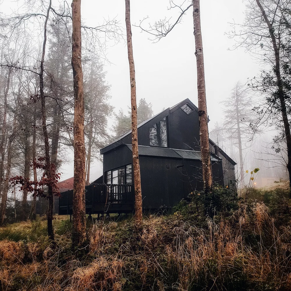 cabu by the lakes cavan cabins forest cathy&juno (5).jpeg