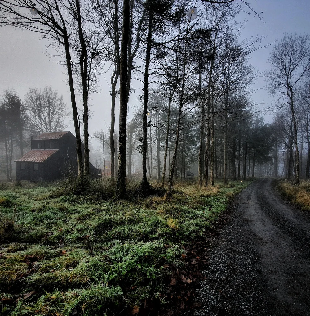 cabu by the lakes cavan cabins forest cathy&juno .jpeg