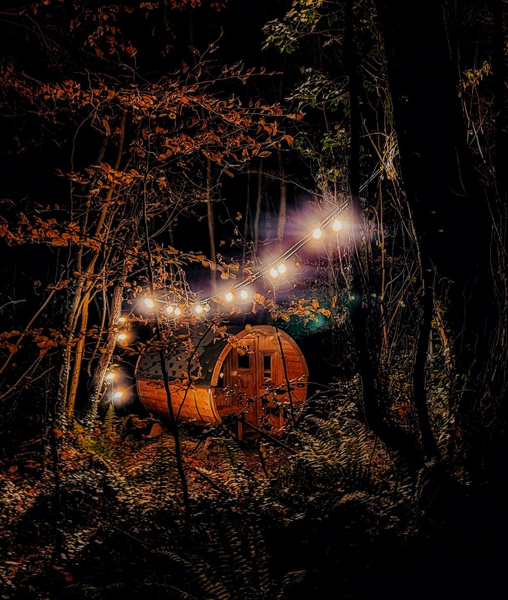 cabu by the lakes cabin bedroom cathy&Juno dog friendly (9).jpeg