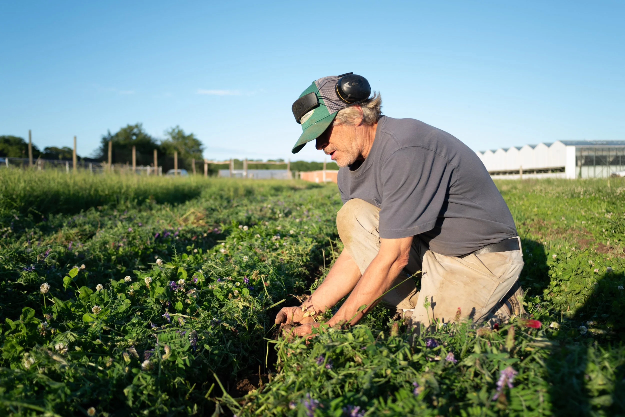 Regenerative Farm Tour and Talk - June 16th