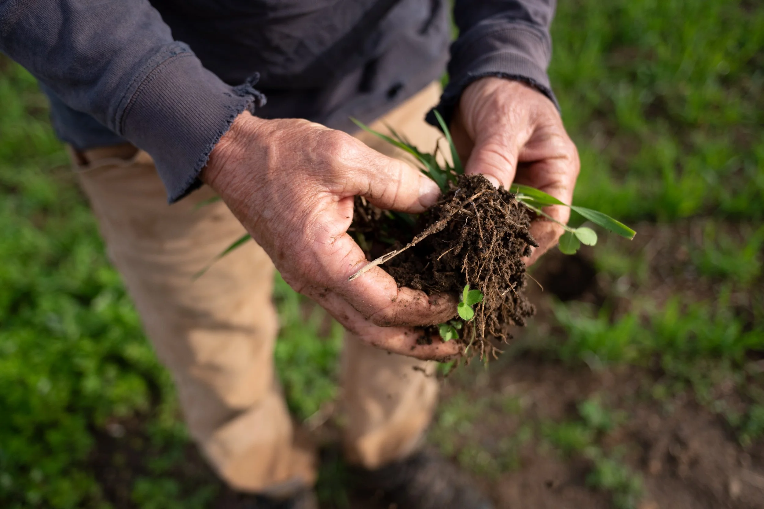 Regenerative Farm Tour and Talk - August 18th