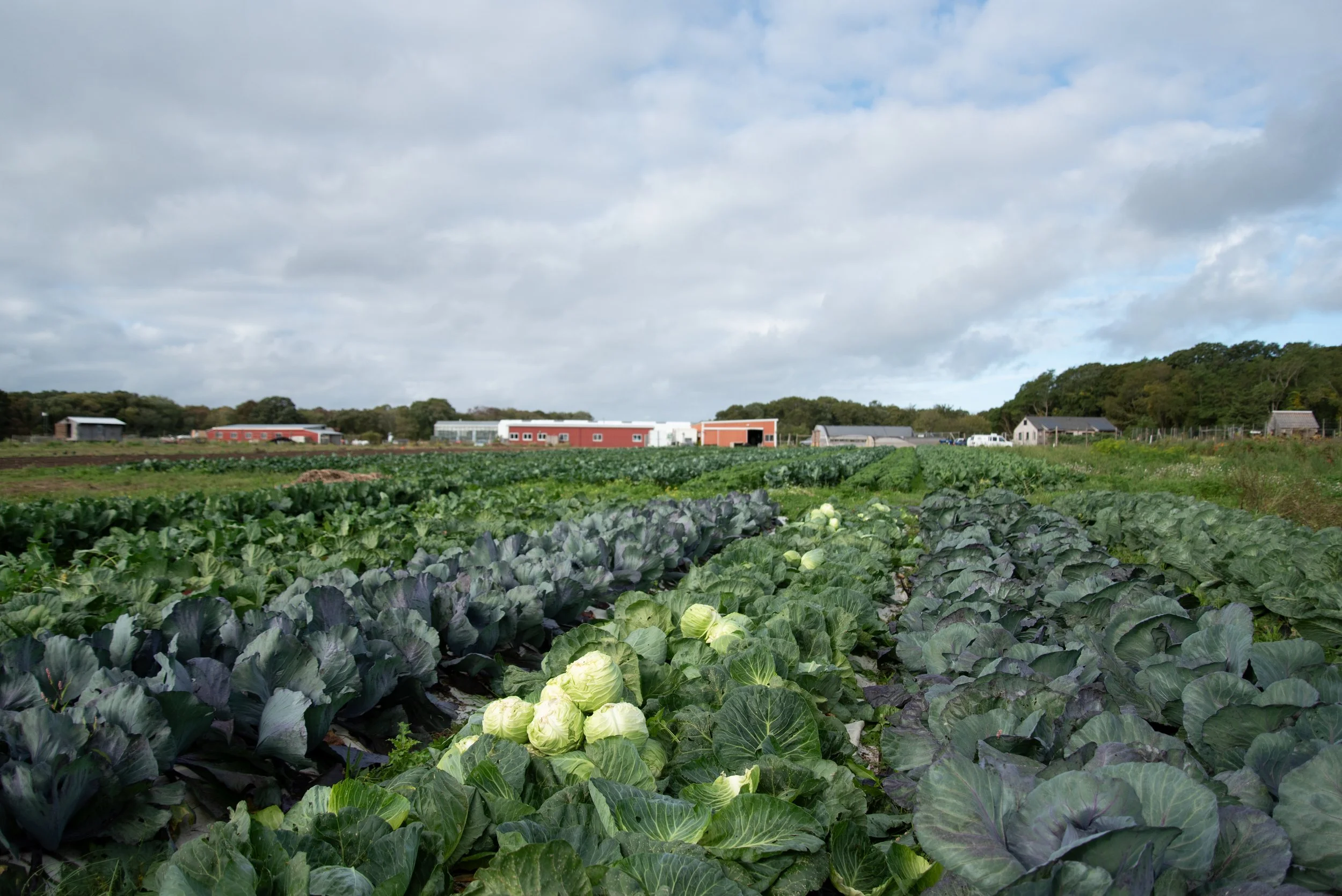 Regenerative Farm Tour and Talk - September 22nd