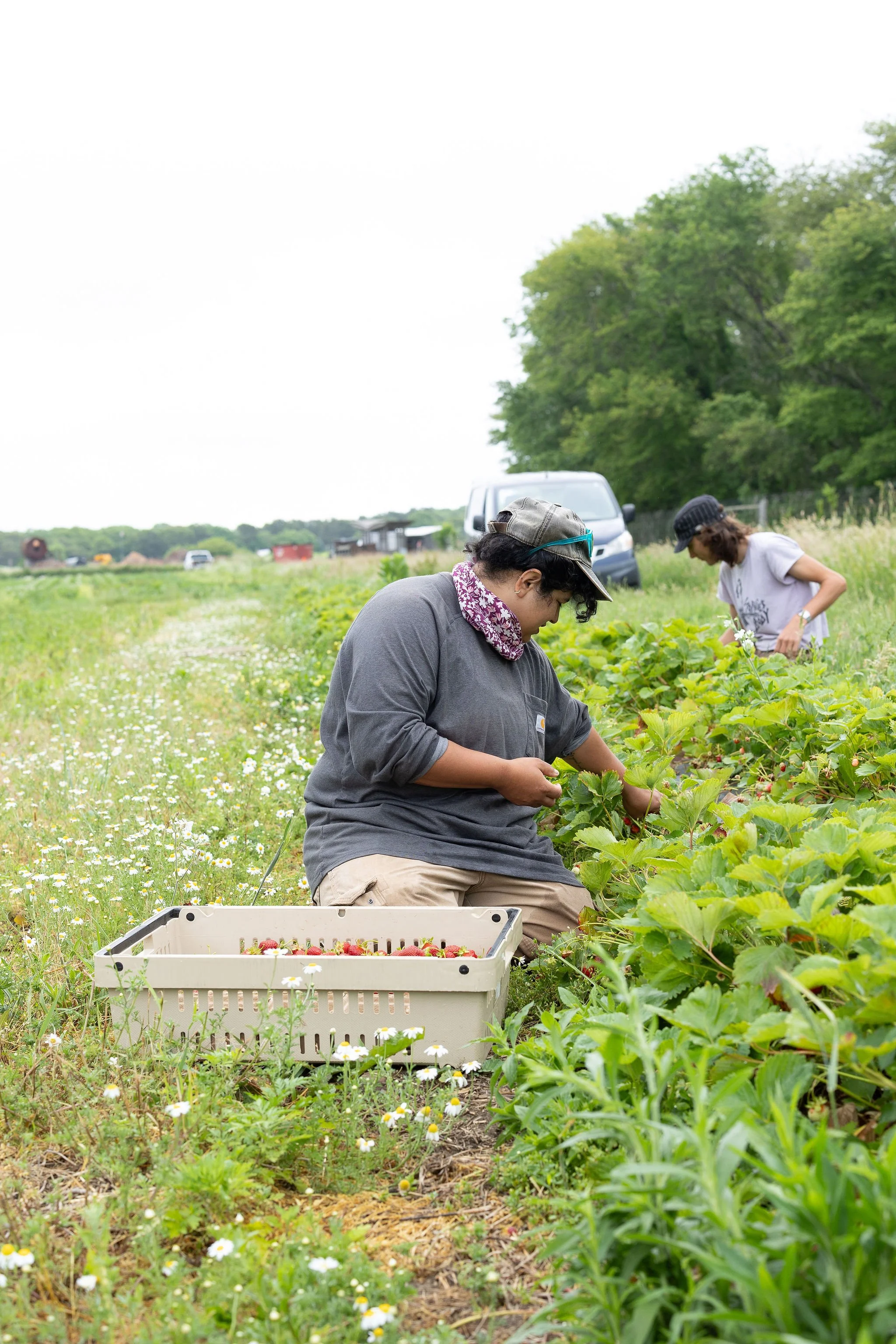 IGI_Glean_IsabellaChimes-24.jpg