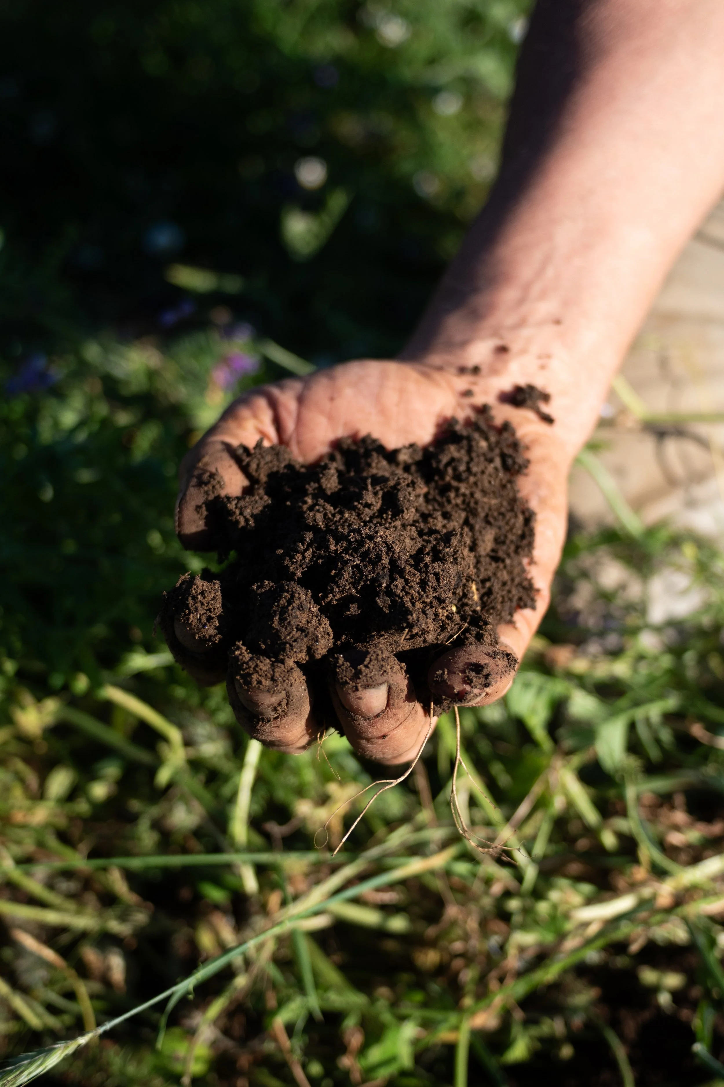 2024-06-11-083 soil.jpg