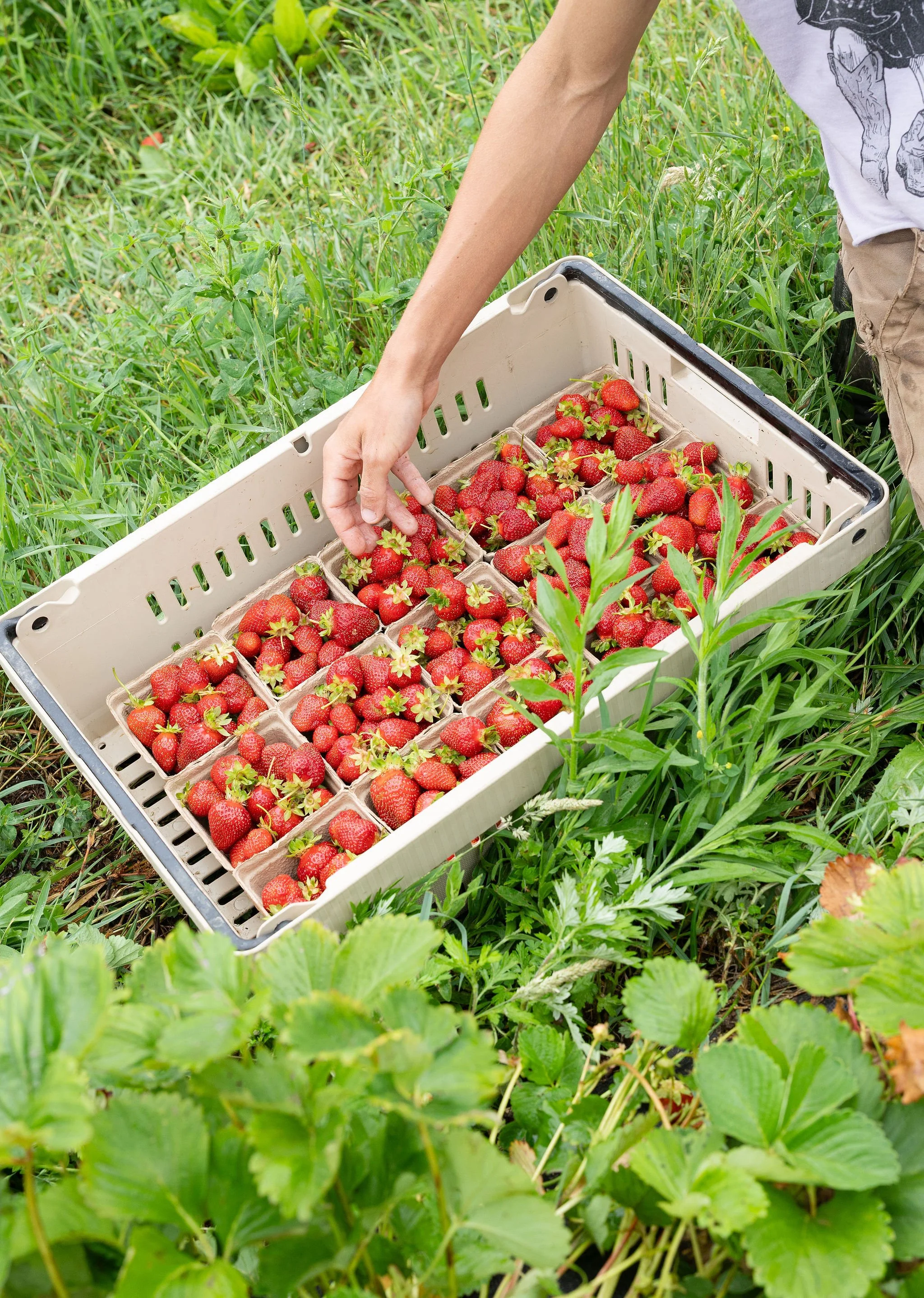 IGI_Glean_IsabellaChimes-29.jpg
