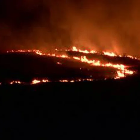 Distribution Fault Anticipation Tool Developed for Preventing Wildfires