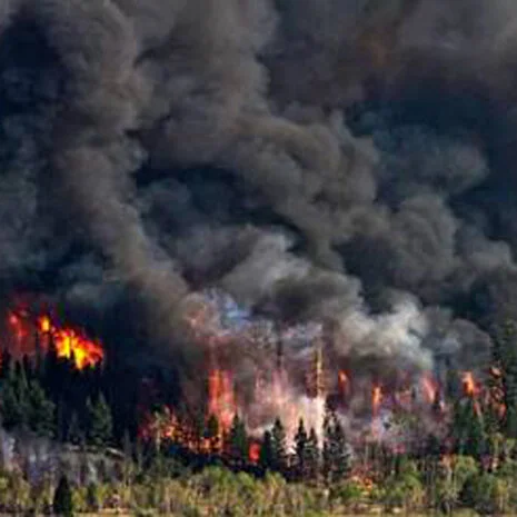 Forest Fire Impact of Fossil Fuel Usage and Greenhouse Gas Emissions