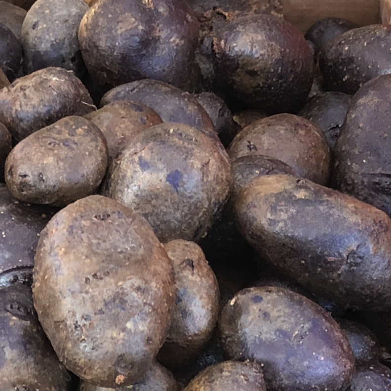 Ultra-Low Carbon Vegetables - Developing a Farm's Carbon Footprint