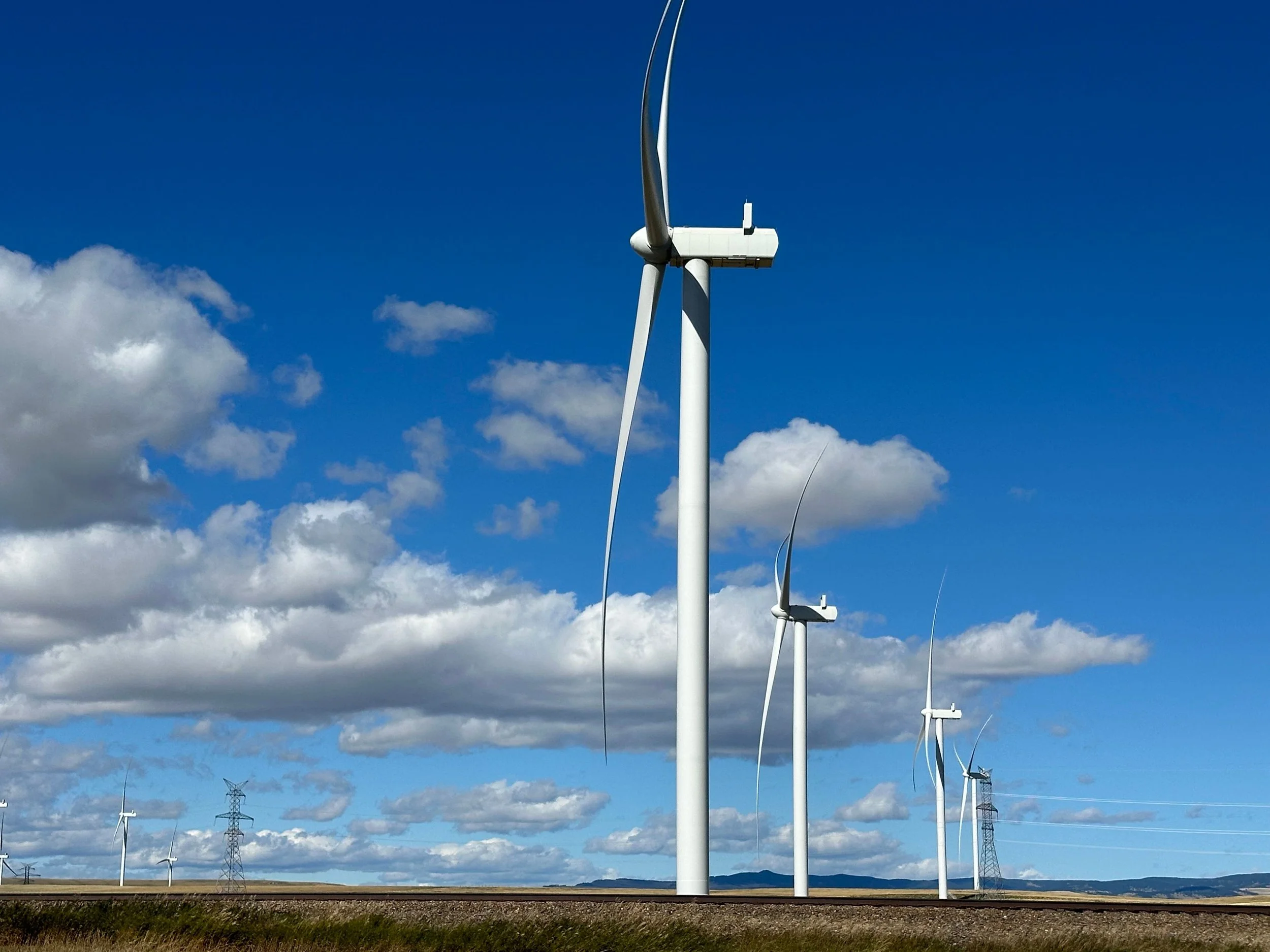 Renewable Energy