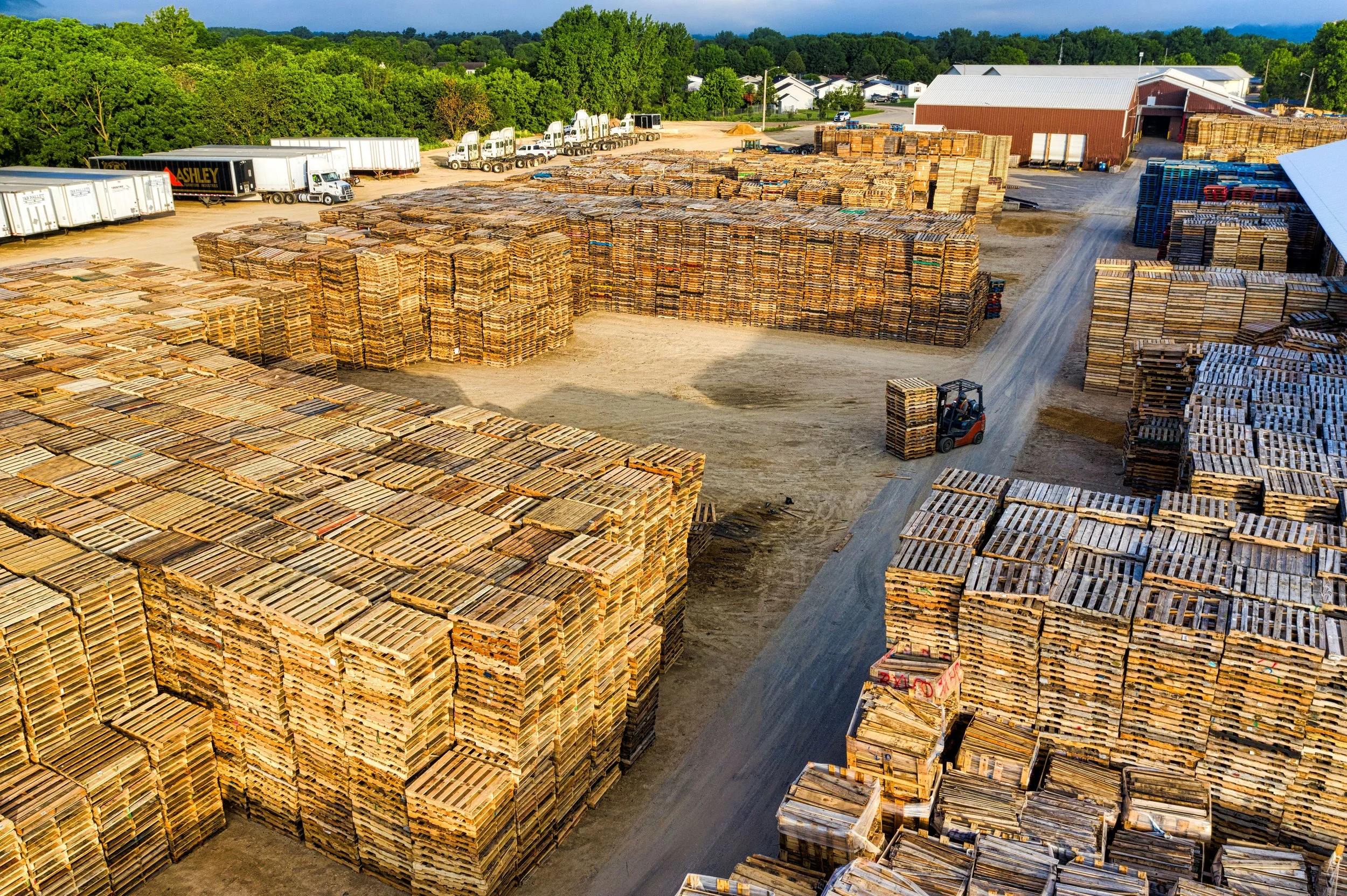 Wood Pallet Recyclers & Producers